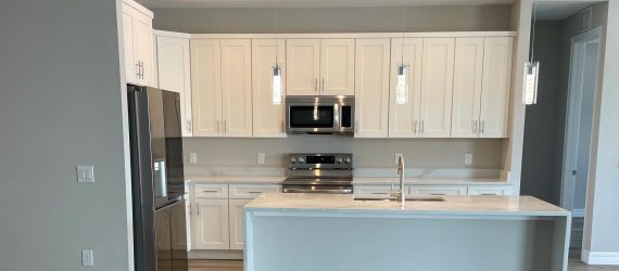 bg3-Our-Recent-Work-image